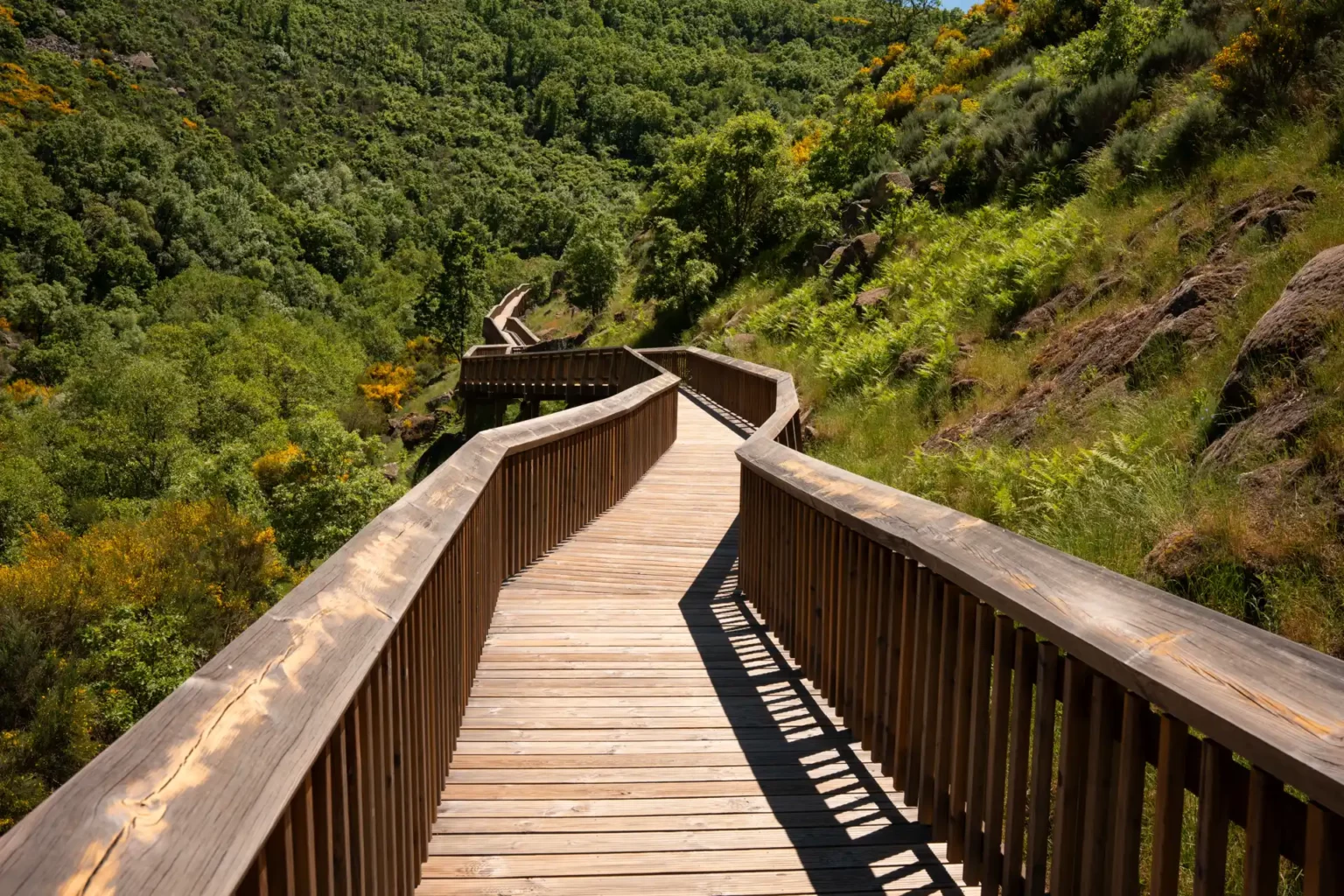Birds-eye view of a valley in the mondego river
