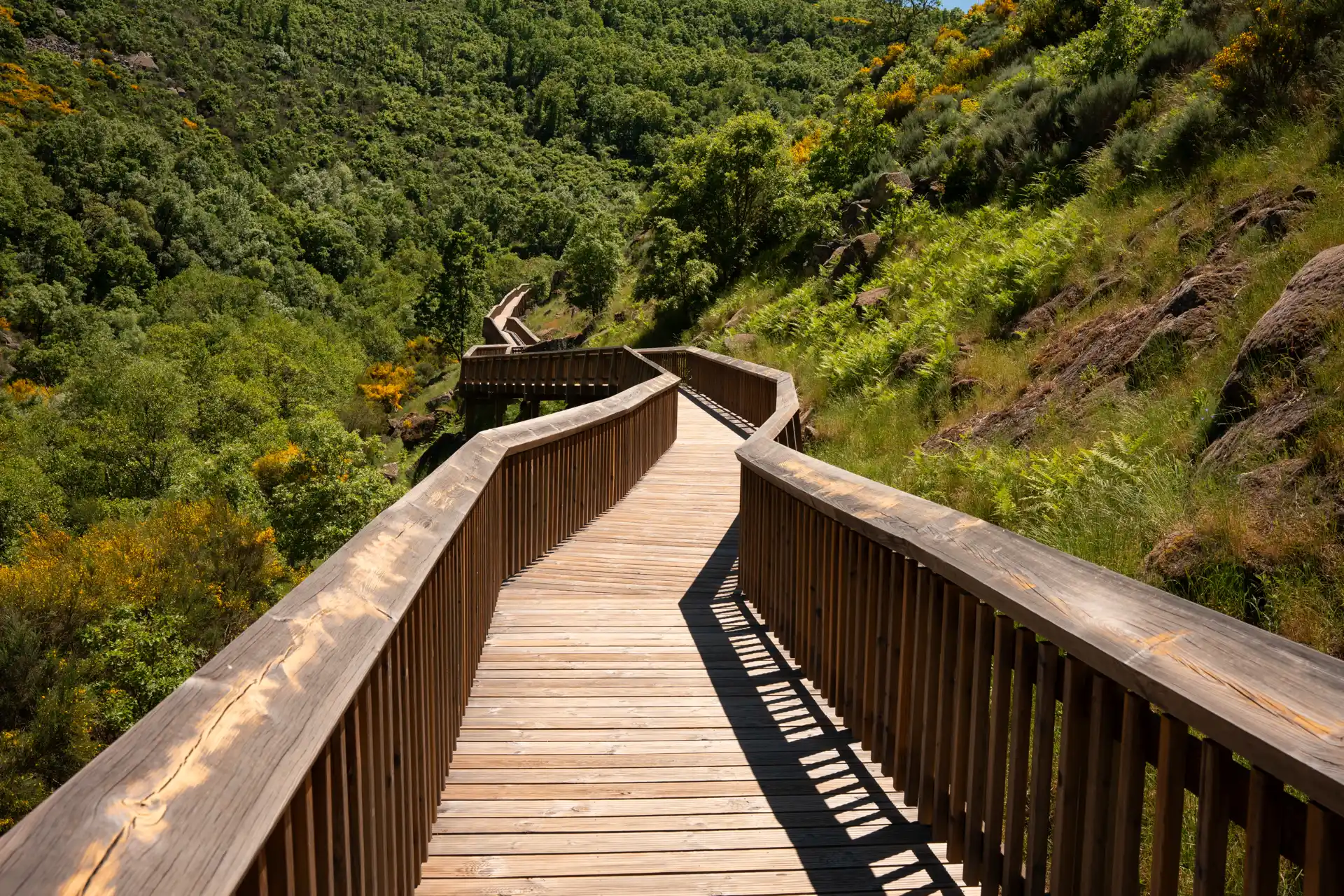 Birds-eye view of a valley in the mondego river