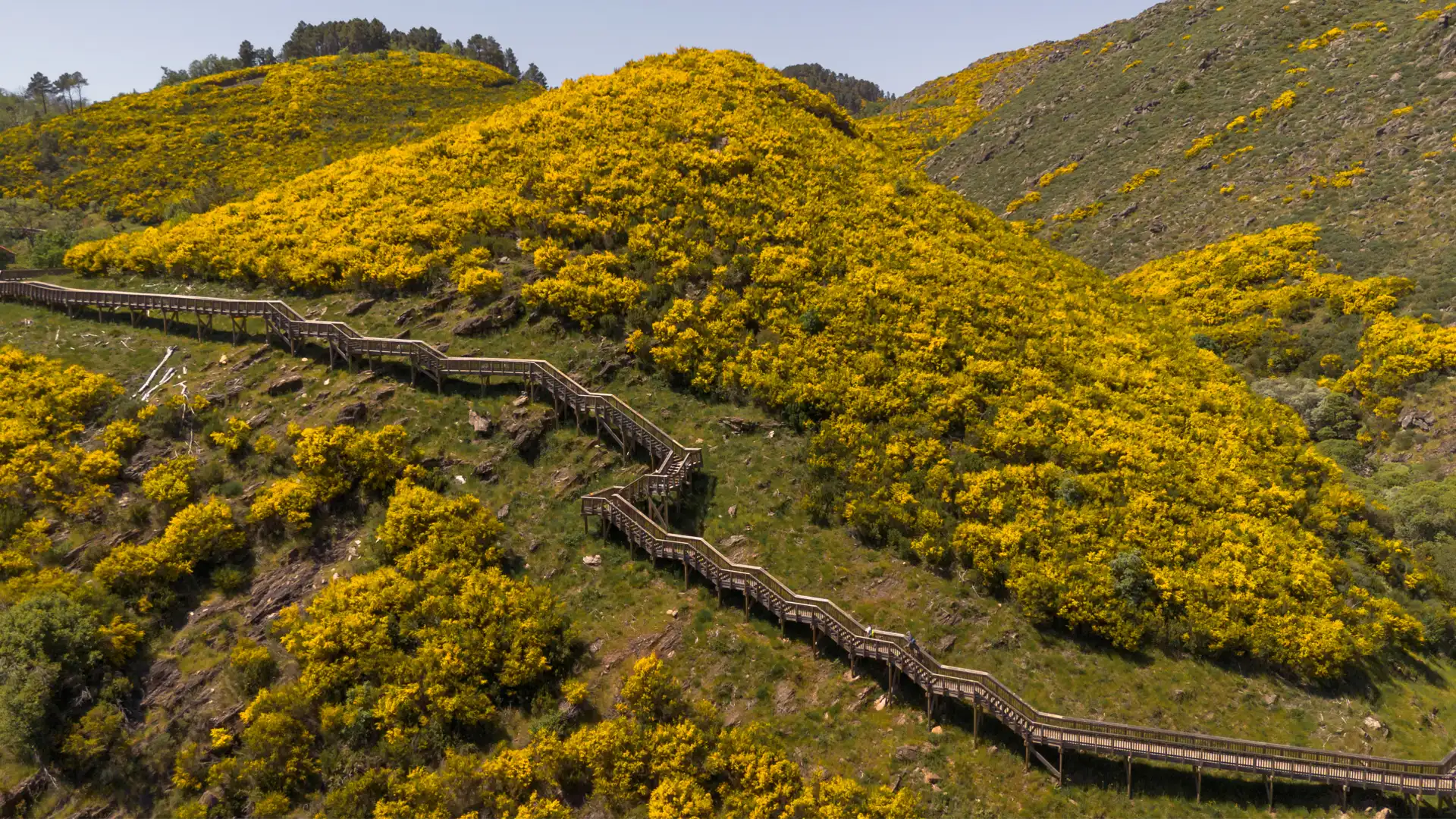 Birds-eye view of a valley in the mondego river
